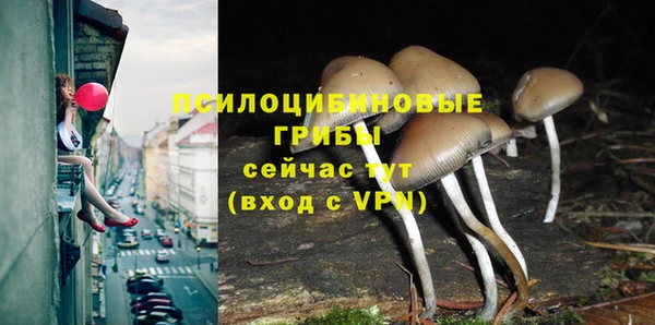 спайс Нефтекумск