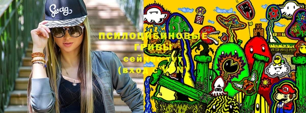 спайс Нефтекумск
